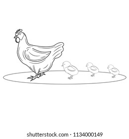 Coloring Page Outline Chicken Small Chicks Stock Vector (Royalty Free ...