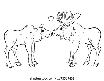 Coloring page outline of cute cartoon moose couple. Male and female mooses in love. Vector image isolated on white background. Coloring book of forest wild animals for kids.