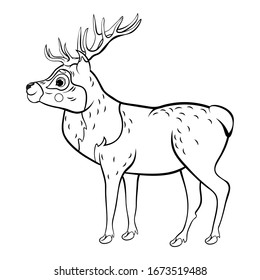 Coloring page outline of cute cartoon deer. Vector image isolated on white background. Coloring book of forest wild animals for kids.