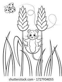 Coloring page outline of cute cartoon forest vole or mouse hanging on wheat. Vector image with nature background. Coloring book of forest wild animals for kids.