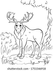 Coloring page outline of cute cartoon moose. Vector image with forest background. Coloring book of forest wild animals for kids.