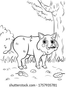 Coloring page outline of cute cartoon hog or boar. Vector image with forest background. Printable coloring book of forest wild animals for kids.