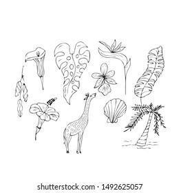 Coloring page outline of  giraffe  and tropical plants. Vector illustration, coloring book for kids and adults.