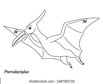 Coloring page outline Pterodactylus dinosaur. Vector illustration isolated on white background