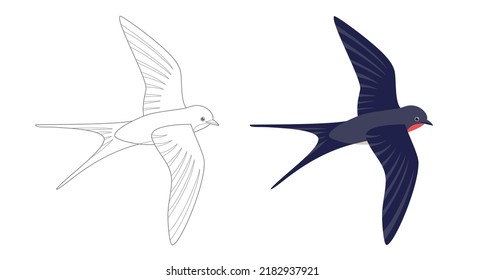 La página de coloreado delineaba las golondrinas voladoras. Ave en vuelo. Ilustración plana vectorial aislada en blanco. Libro de Colores para niños. 