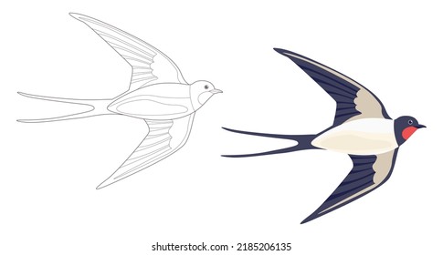 Coloring page outlined flying swallows. Bird in flight. Vector flat illustration isolated on white. Coloring book for children.