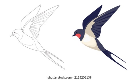 Coloring Page Outlined Flying Swallows Bird Stock Vector (Royalty Free ...