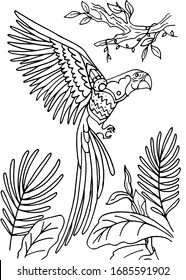 Coloring page and parrot  macaw  Hand  drawn coloring book for children   adults  Beautiful drawings and patterns   small details  See more colorings in the collections  Vector illustration 