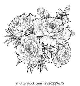 Coloring page with peonies and leaves. Vector page for coloring. Flower Colouring page. Floral print. Outline peonies. Black and white page for coloring book.