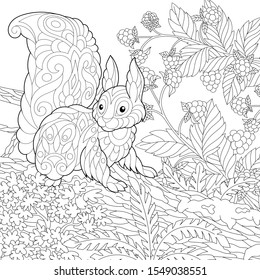 Coloring page. Coloring picture of cute squirrel in the forest. Line art design for adult colouring book with doodle and zentangle elements.