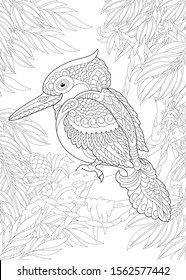 Coloring page. Coloring picture of kookaburra or kingfisher bird. Line art design for adult colouring book with doodle and zentangle elements.