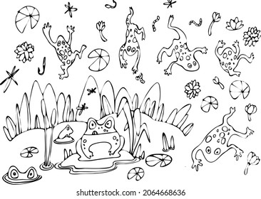 Coloring page with a picture of a swamp with frogs, water lilies and marsh grass