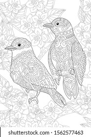 Coloring page. Coloring picture of two birds among flowers. Line art design for adult colouring book with doodle and zentangle elements.