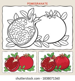 Coloring page of pomegranate with two samples coloring