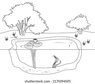 Coloring page with pond with flowering water-lily plants
