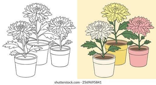 Coloring Page with Potted Chrysanthemums in Black and White and Colored Versions