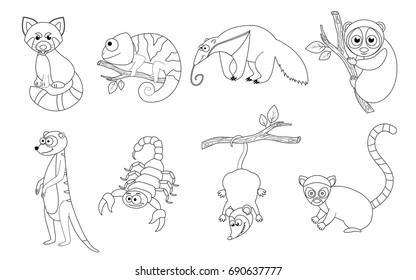 Coloring page for preschool children. Set of different cartoon exotic animals. Funny animals. Vector illustration. Red panda, chameleon, scorpion, anteater, lemur, loris, meerkat, opossum.