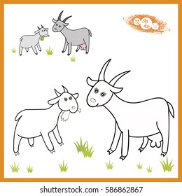 Coloring page for preschool childrens. Vector goats.