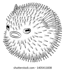 Coloring page with puffer fish in patterned style. Black white hand drawn doodle with creepy fish for art therapy. Sketch for cover, poster, print, t-shirt. Vector illustration