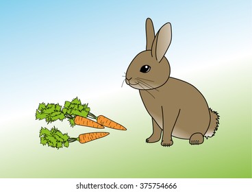 Coloring page - Rabbit with carrot