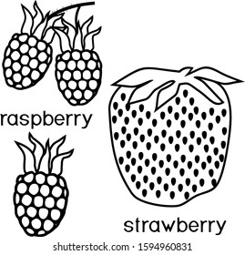 Coloring page. Raspberry and strawberry