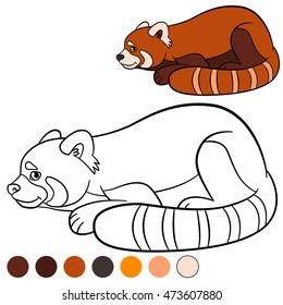 Coloring page: red panda. Little cute red panda smiles.