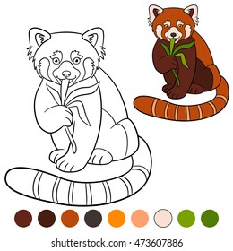 Coloring page: red panda. Little cute red panda eat leaves and smiles.