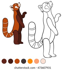 Coloring page: red panda. Little cute red panda stands and smiles.