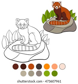 Coloring page: red panda. Little cute red panda sits on the stone and smiles.