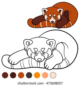 Coloring page: red panda. Little cute red panda with beautiful tail.
