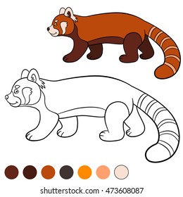 Coloring page: red panda. Little cute red panda walks and smiles.