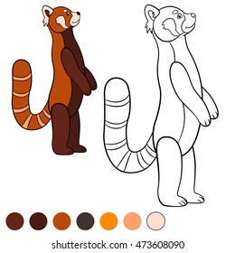 Coloring page: red panda. Little cute red panda stands and smiles.