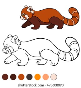 Coloring page: red panda. Little cute red panda walks and smiles.