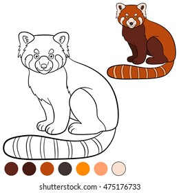 Coloring page: red panda. Little cute red panda sits and smiles.