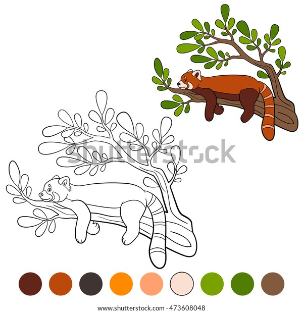 smylingsally: Red Panda Coloring Page Free