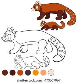 Coloring page: red panda. Mother red panda walks with her little cute baby and smiles.