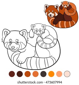 Coloring page: red panda. Mother red panda with her little cute baby.