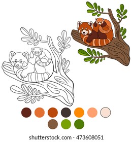 Coloring page: red panda. Mother red panda with her little cute baby on the tree branch.