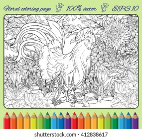 Coloring page with rooster in the garden. With frame.