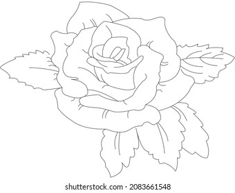 Coloring page with roses and leaves