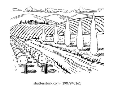 Coloring page. Rural landscape. Grape fields. Cypress trees. Hand drawn sketch. Vintage style. Black and white vector illustration isolated on white background.