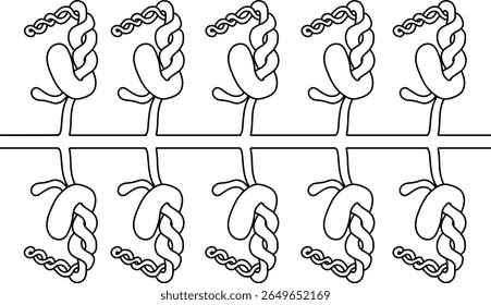 Página de coloração com esquema do sistema nefrídico septal da minhoca de Pheretima para a lição de biologia. Diagrama do sistema excretor da minhoca