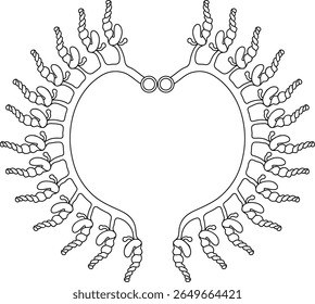 Coloring page with scheme of septal nephridial system of Pheretima earthworm for biology lesson. Diagram of excretory system of earthworm	
