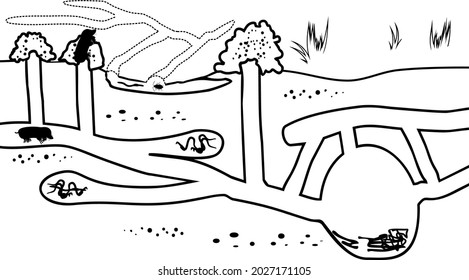 Coloring page. Scheme of structure of underground mole tunnels with earthworms and European mole (Talpa europaea)