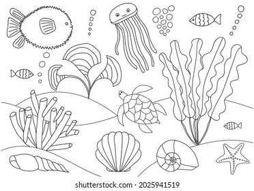 Coloring page with sea animals in underwater world with algae, bubbles isolated. Coloring book for kids and adults. Ball fish, jellyfish, reef fish, turtle, shell, seaweed, sea grass, starfish.