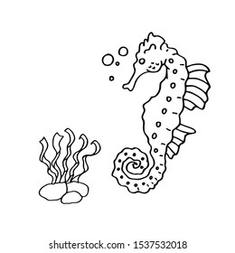 coloring page of the sea creatures