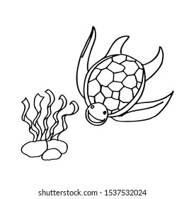 coloring page of the sea creatures