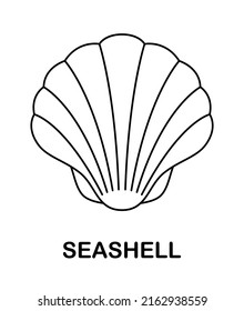 Coloring page with Seashell for kids