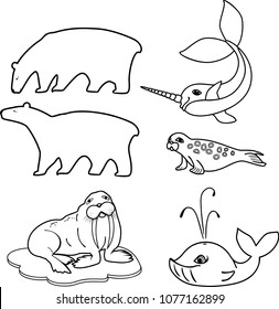 Coloring page. Set of different cartoon animals of polar fauna