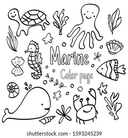 Coloring page. Set of hand drawn sea animals. Vector